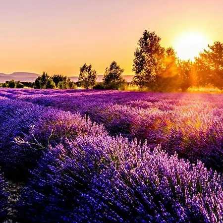 Luxury Coastal Dreams * Sveti Vlas