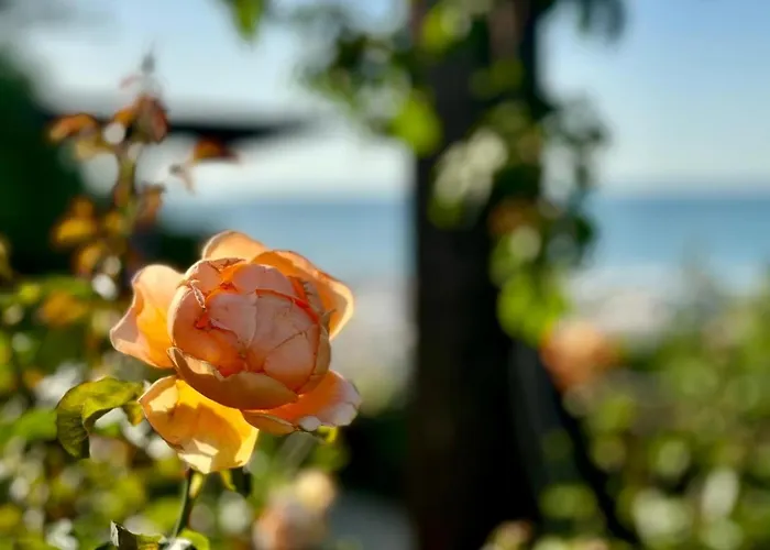 Luxury Coastal Dreams アパート